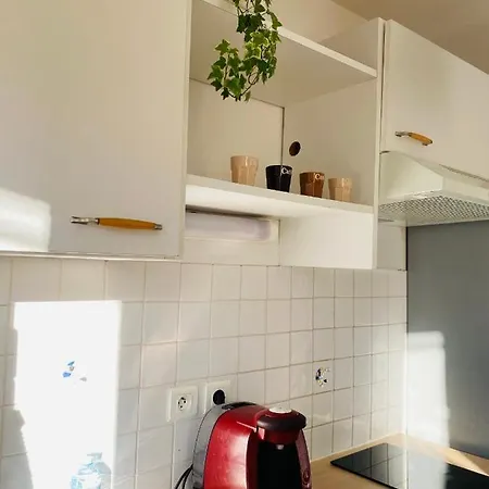 Apartment Mon Havre De Paix Toulousain Idealement Situe Toulouse
