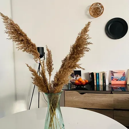 Mon Havre De Paix Toulousain Idealement Situe Appartement